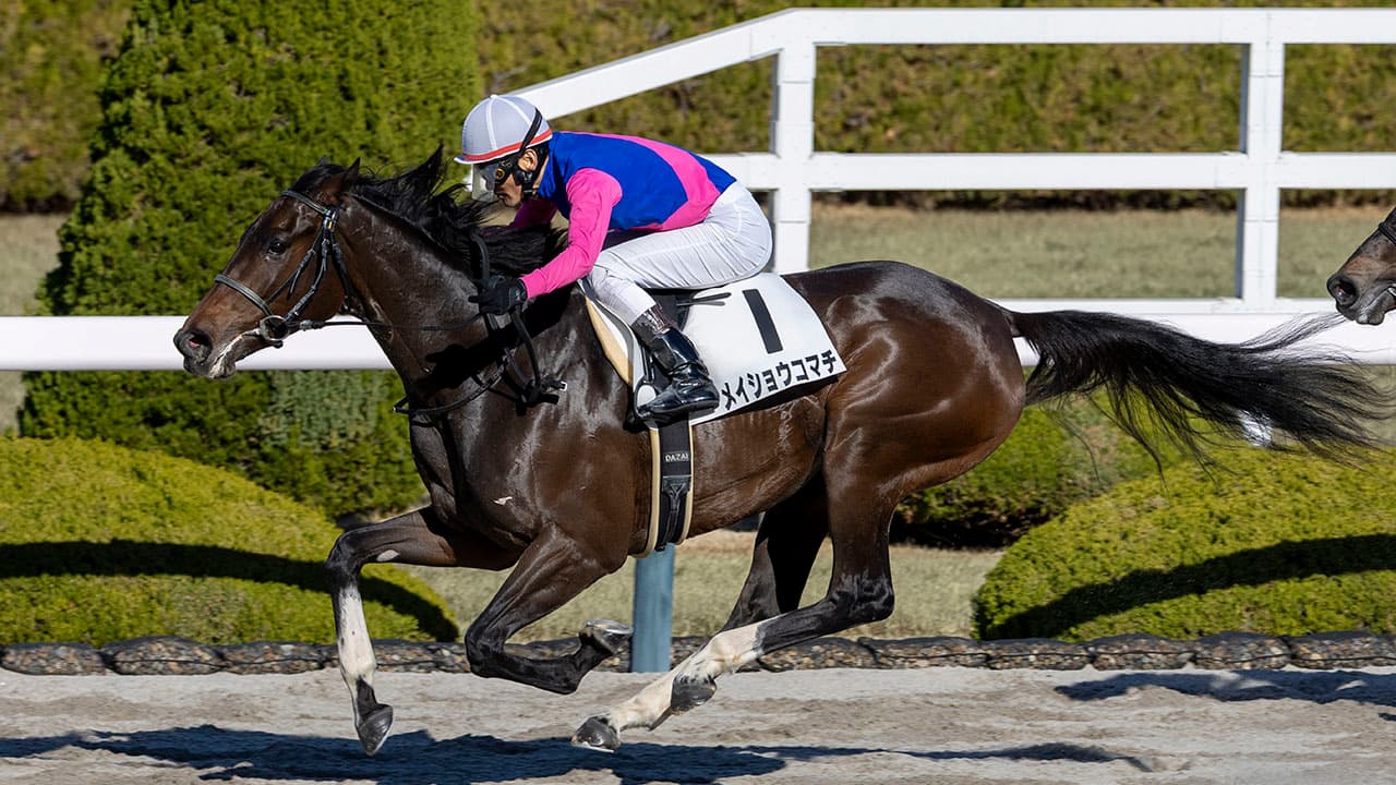 12/20 阪神6R | 殿堂入り的中 | ～競馬情報/競馬予想～ 情報競馬